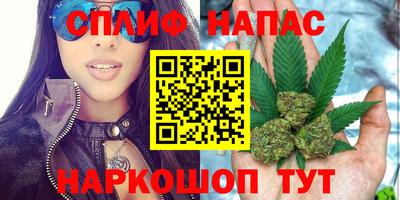 скорость Кингисепп