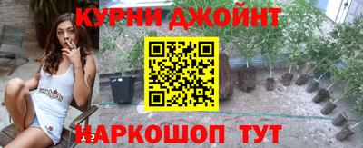 скорость Кингисепп
