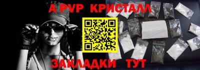 скорость Кингисепп