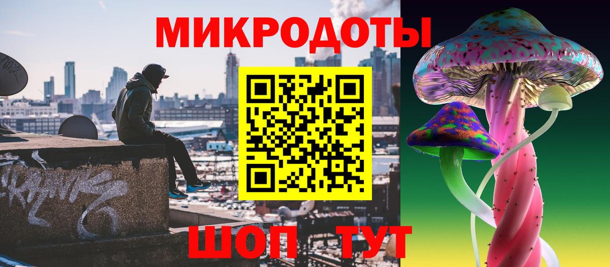 Галлюциногенные грибы Cubensis Сочи